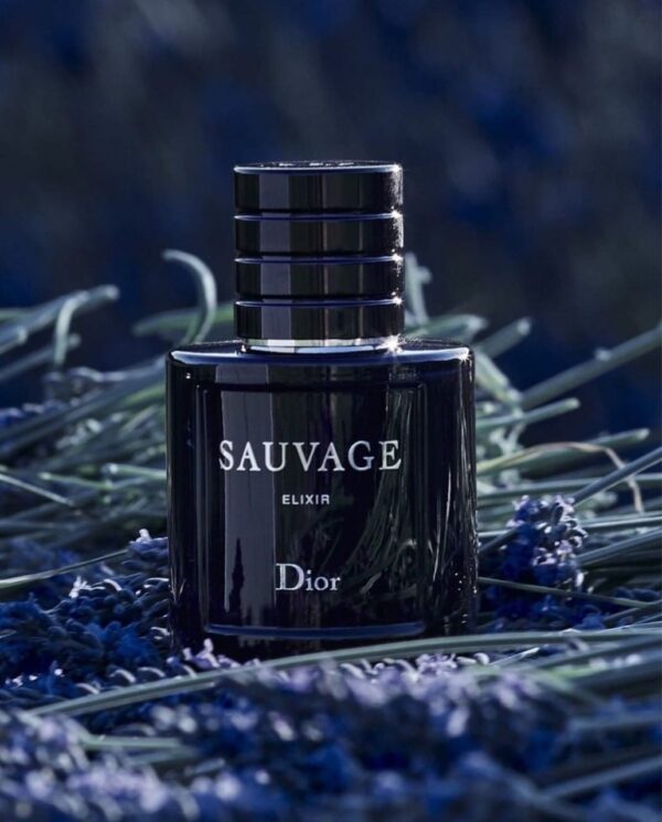 SAUVAGE ELIXIR